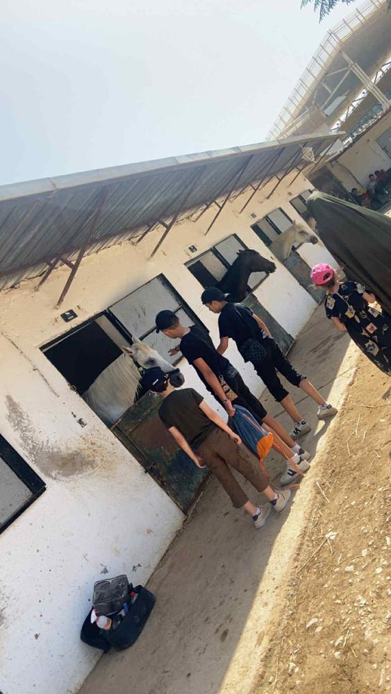 جولة الأطفال في الإسطبل